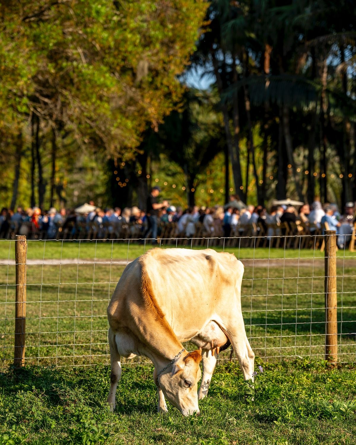 @out_inthefield organized an outstanding event at @jupitercreamery with dinner p…