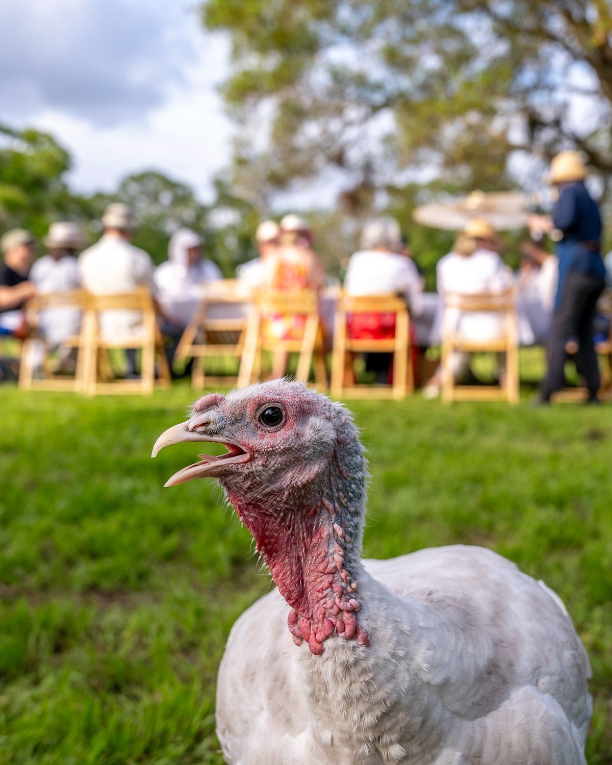 During the @out_inthefield dinner event at @jupitercreamery guests had a chance…