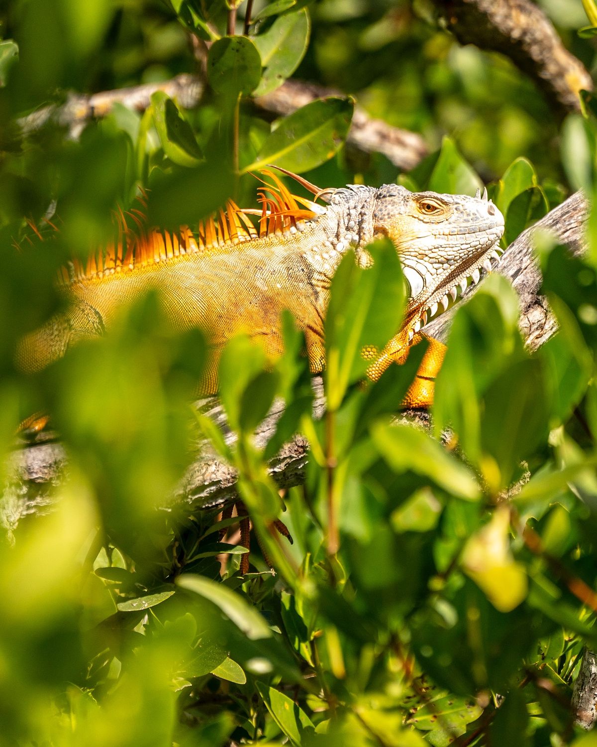 Got to see some beautiful wildlife.