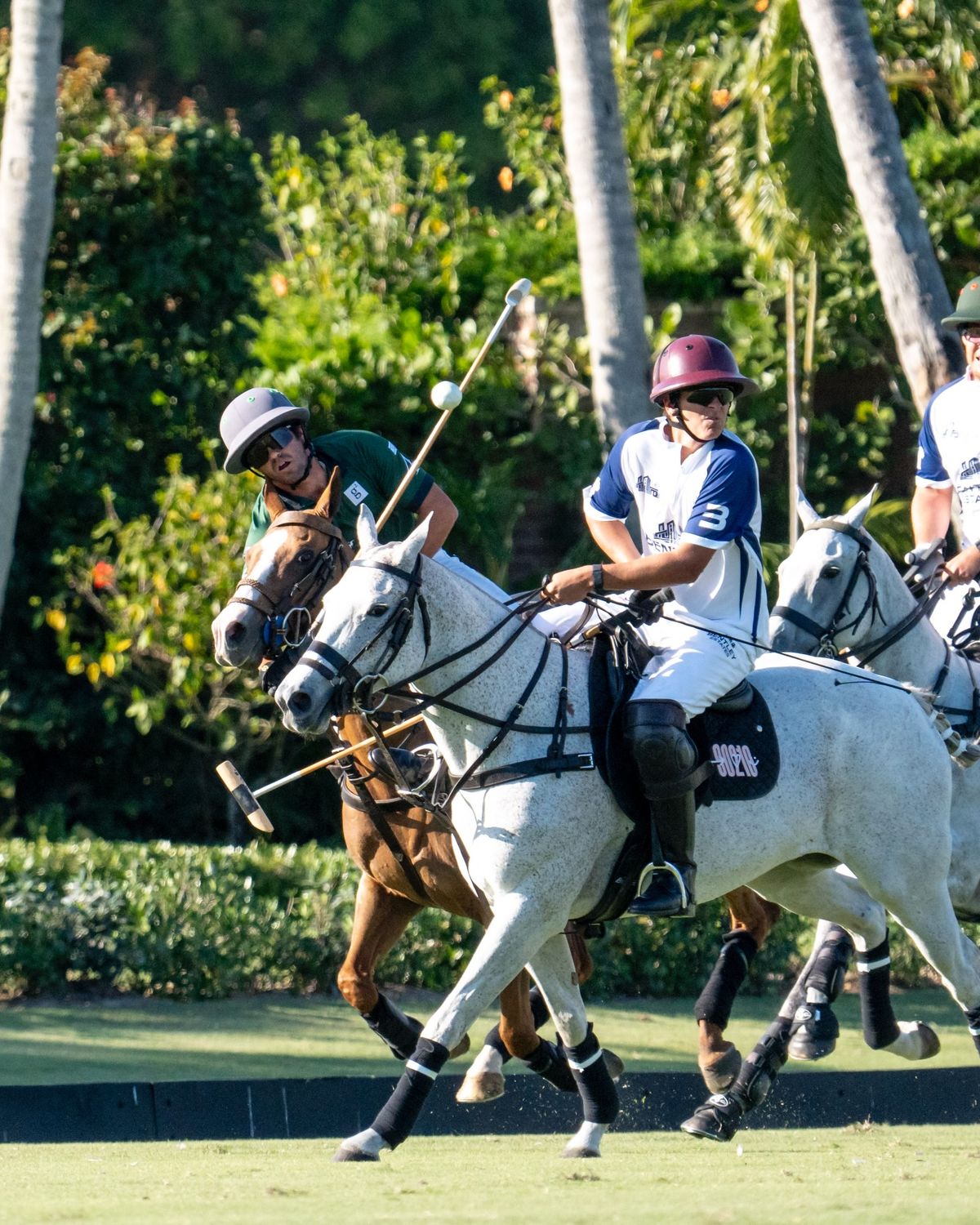 New sport unlocked. First time taking photos at a polo match. That was fun! Can’…