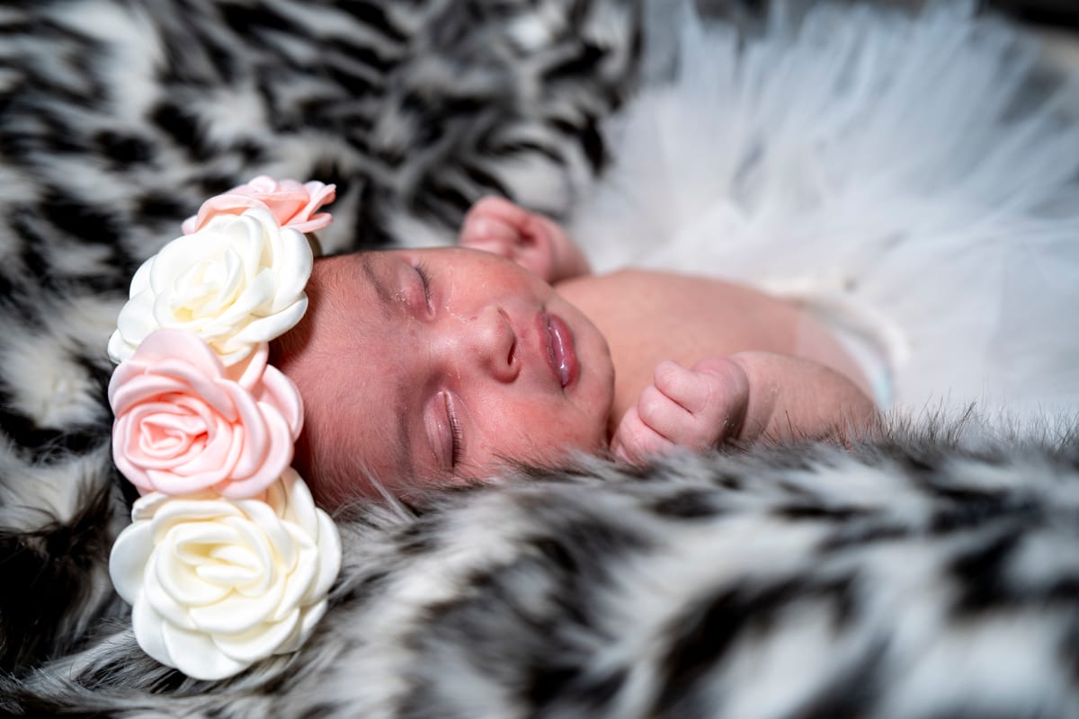 A newborn baby girl with dark hair, wearing a pink and white flower headband, lying on a black and white fur blanket.