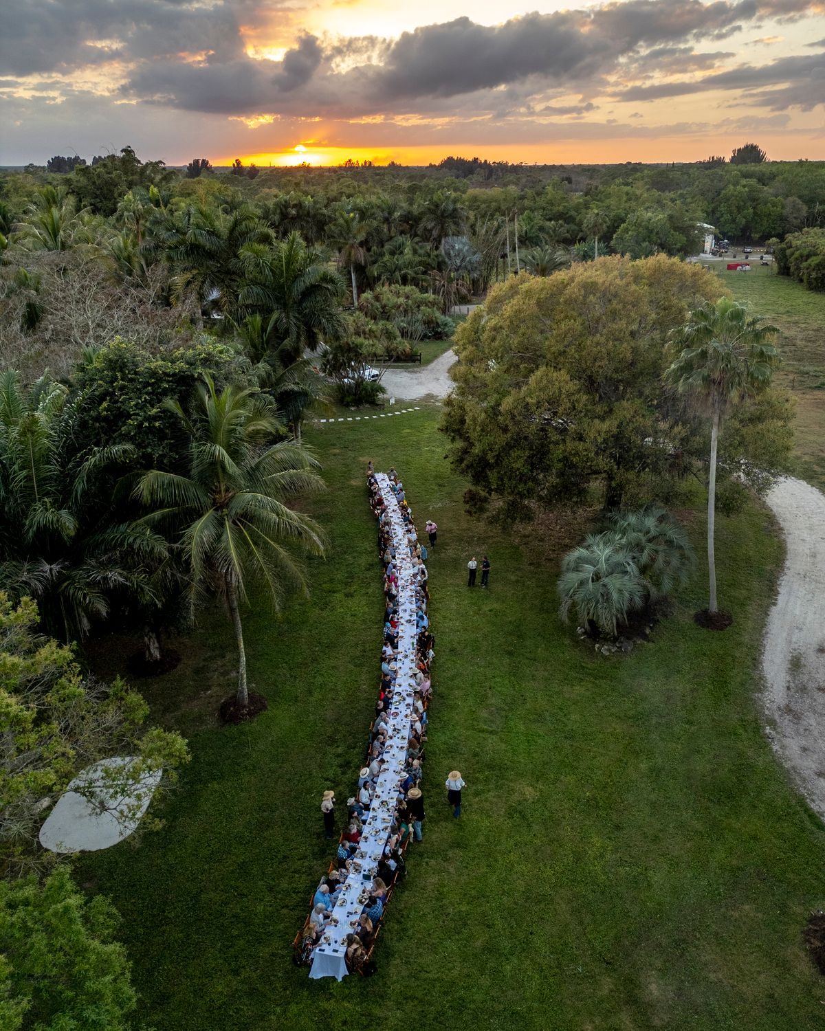 Aerial view of a long table set for an outdoor dinner party in a lush, tropical setting.