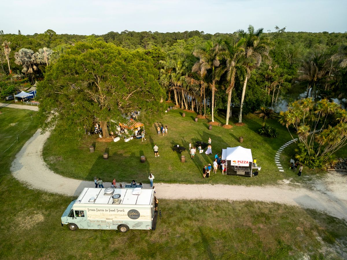 Aerial view of a food truck and people in a grassy area with palm trees and a lake in the background.