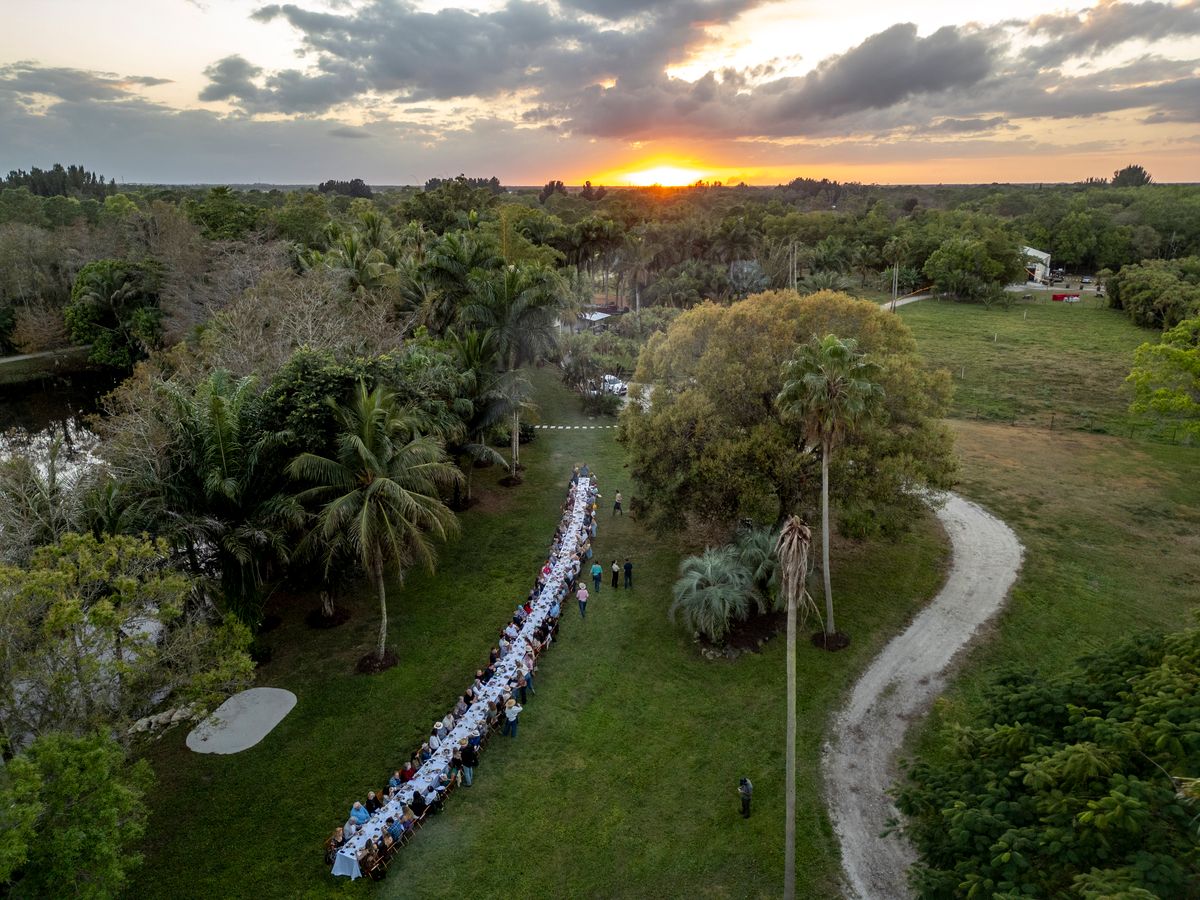 Aerial view of a long table set up in a grassy area with palm trees and a sunset in the background.