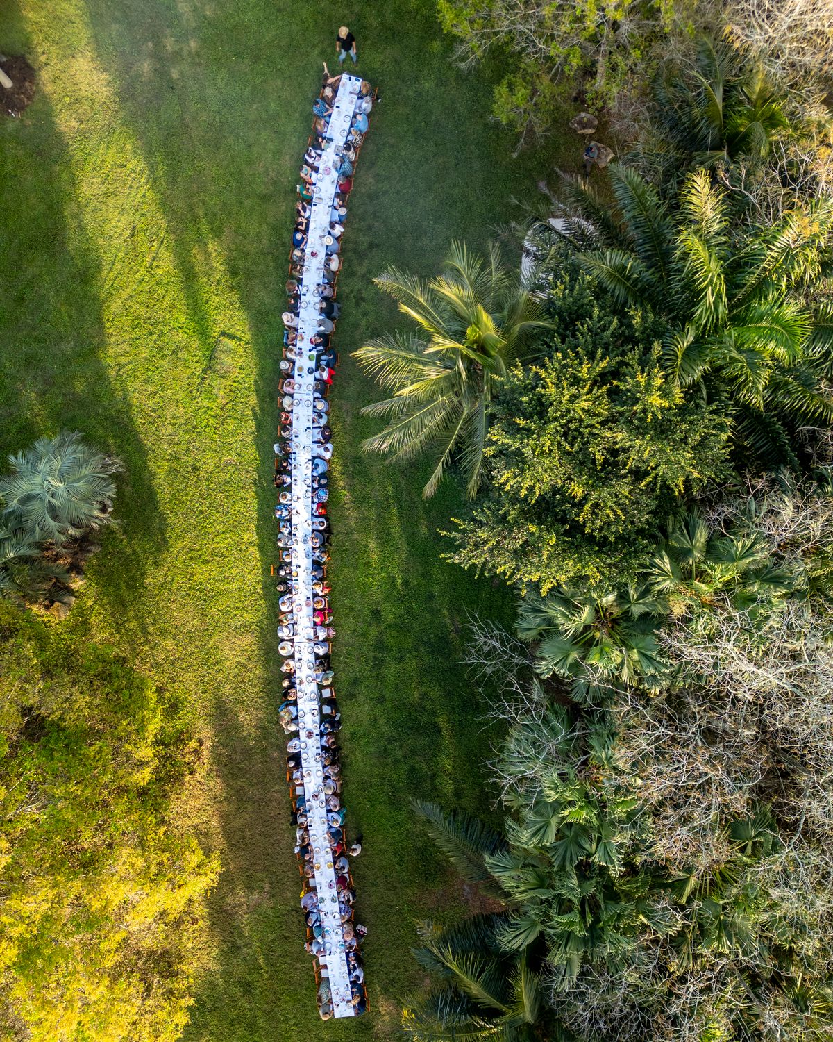 Aerial view of a long table set up in a grassy area surrounded by trees.