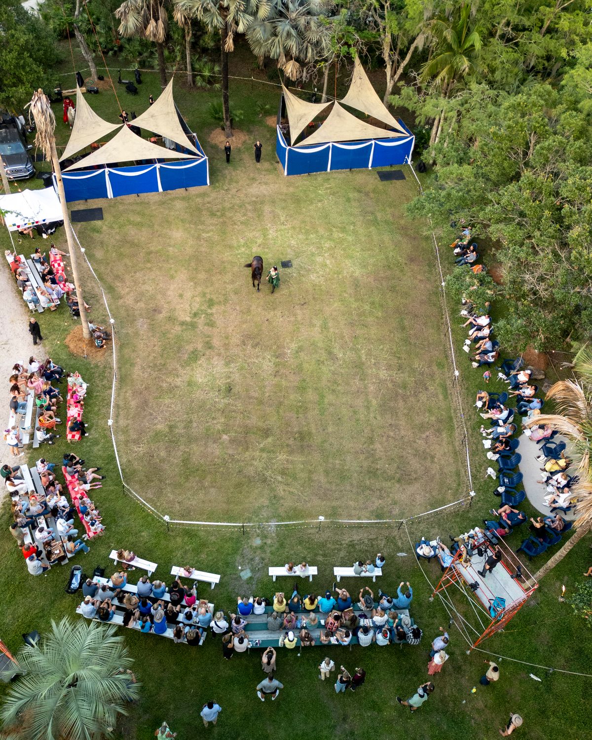 Aerial view of a large grassy area with a few palm trees, a blue and white tent, and a crowd of people seated at tables.