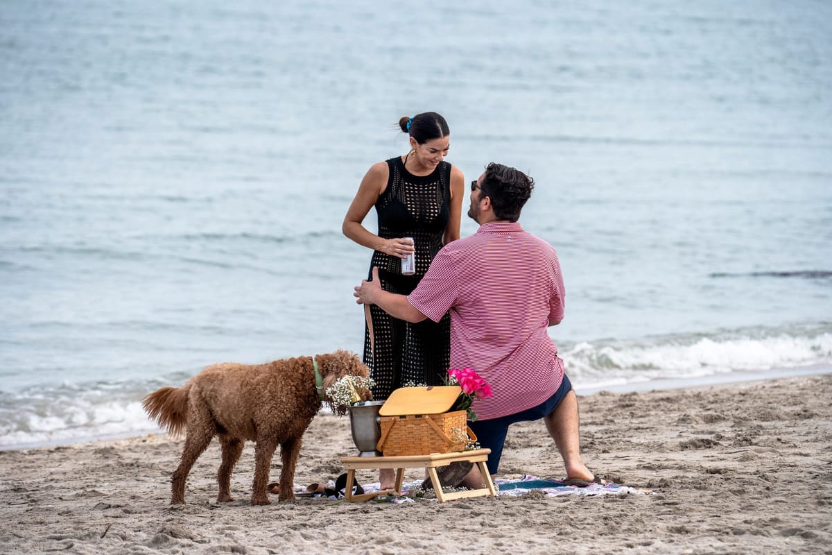 A man on one knee, facing a woman in a black dress, with a dog sniffing a picnic basket between them.