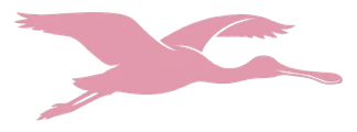 Spoonbill Productions